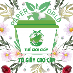 Tô giấy cao cấp