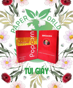TÚI GIẤY